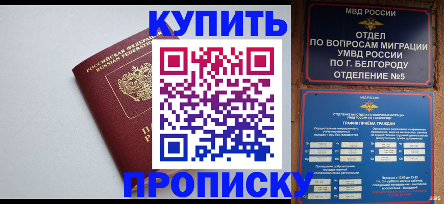 прописка регистрация в Шлиссельбурге